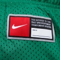 Nike Bos Mesh Prac Men's Shorts