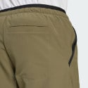 adidas Terrex Terrex Multi Liteflex Pants