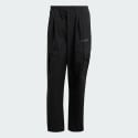 adidas Terrex Terrex Xploric Cargo Pants