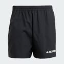 adidas Terrex Multi Shorts