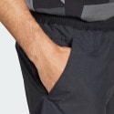 adidas Terrex Multi Shorts