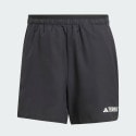 adidas Terrex Multi Light Shorts