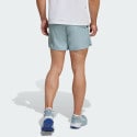 adidas Terrex Multi Light Shorts