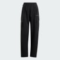 adidas Terrex Xploric Cargo Pants