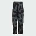 adidas Terrex Xploric Cargo Pants Printed