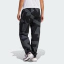 adidas Terrex Xploric Cargo Pants Printed
