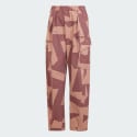 adidas Terrex Xploric Cargo Pants Printed