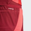 adidas Germany 25 (Women'S Team) Away Authentic Shorts