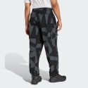adidas Terrex Xploric Cargo Pants Printed