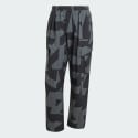 adidas Terrex Xploric Cargo Pants Printed