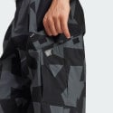 adidas Terrex Xploric Cargo Pants Printed