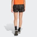 adidas Terrex Women's Shorts