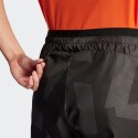 adidas Terrex Women's Shorts