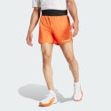 adidas Terrex Xperior Shorts