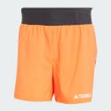 adidas Terrex Xperior Shorts