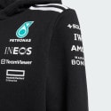 adidas Mercedes - Amg Petronas Formula One Team Hood