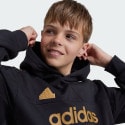 adidas sportswear Tiro Nations Pack Hood Kids