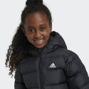 adidas sportswear Lk Sd Jkt