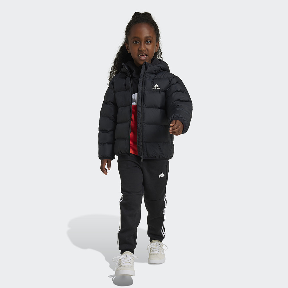 adidas sportswear Lk Sd Jkt