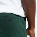 Target Men's Shorts