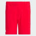 adidas-aeroready-graphics-shorts