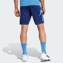 adidas France Gym Shorts