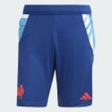adidas France Gym Shorts