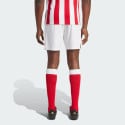 adidas Olympiacos Fc Anniversary Shorts