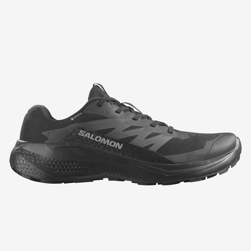 Salomon Alphaglide GTX Men's Shoes