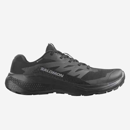 Salomon Alphaglide GTX Men's Shoes