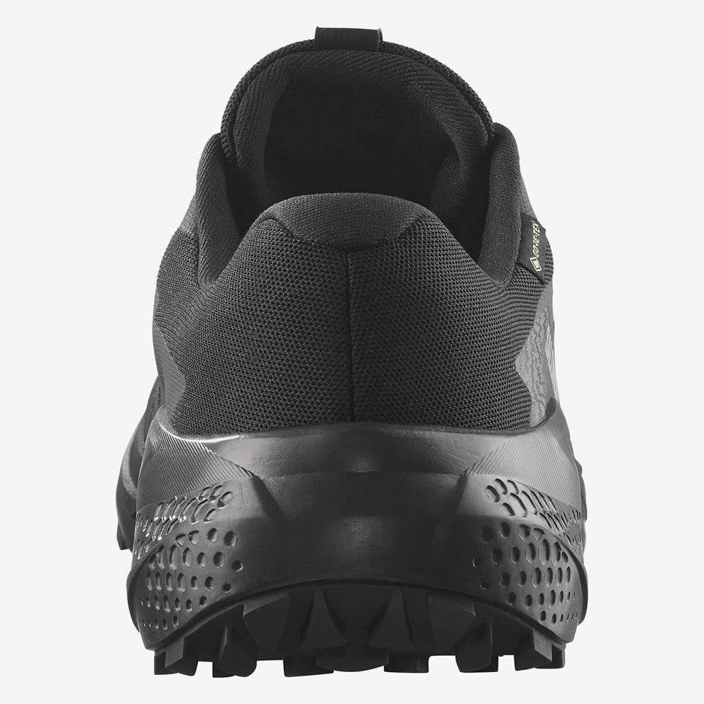 Salomon Alphaglide GTX Men's Shoes