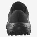 Salomon Alphaglide GTX Men's Shoes