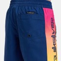 Quiksilver Everyday Holmes Volley Kid's Swim Shorts