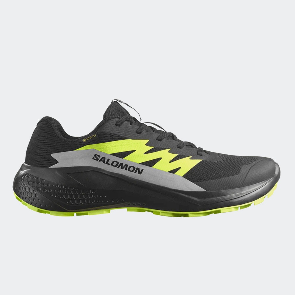 Salomon Alphaglide GTX Ανδρικά Παπούτσια για Trail