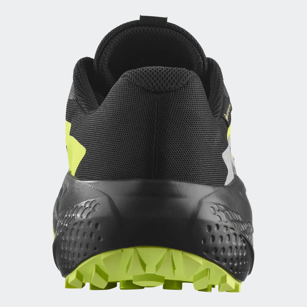Salomon Alphaglide GTX Ανδρικά Παπούτσια για Trail