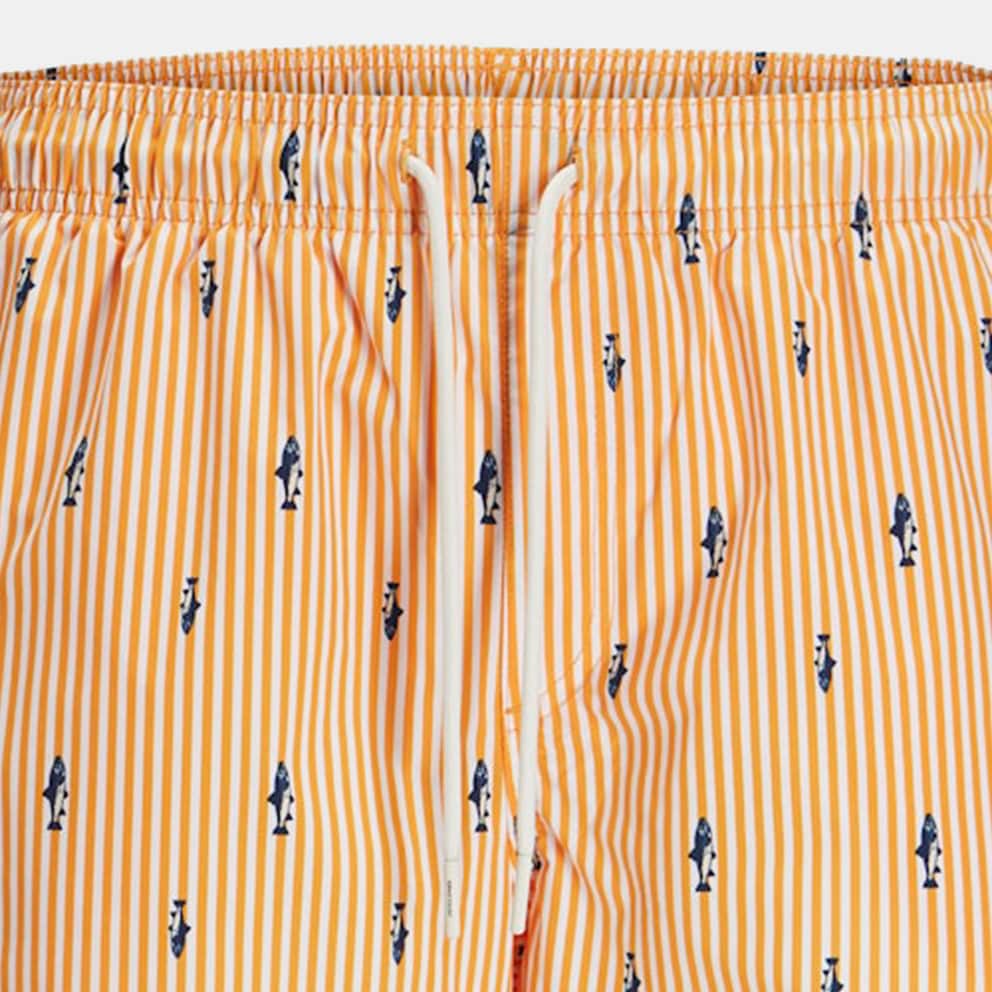 Jack & Jones Jpstmaui Jjswim Mini Stripe Akm Sn