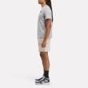 Reebok Identity Classics Big Logo Ανδρικό  T-Shirt