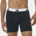 adidas sportswear Shorts