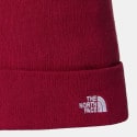 The North Face Norm Beanie Beetroot
