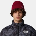 The North Face Norm Beanie Beetroot