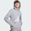 adidas sportswear Essentials Hoodie Kids