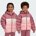adidas sportswear Synthetic Down Jacket
