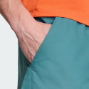adidas Terrex Multi Shorts