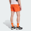 adidas Terrex Multi Light Shorts