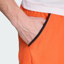 adidas Terrex Multi Light Shorts