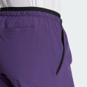 adidas Terrex Multi Liteflex Pants