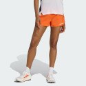adidas Terrex Xperior Shorts