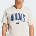 adidas sportswear M Collegiate T