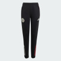 adidas Ajax Amsterdam Tiro 25 Competition Training Pants