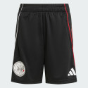 adidas Ajax Amsterdam Tiro 25 Competition Training Shorts
